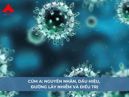 Cúm A: Nguyên nhân, dấu hiệu, đường lây nhiễm và điều trị