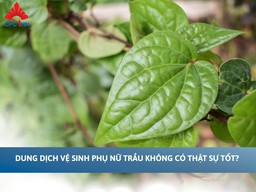 Dung dịch vệ sinh phụ nữ trầu không có thật sự tốt?