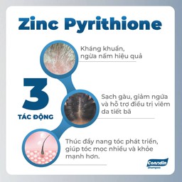 Dầu Gội Conadin Shampoo Giảm Gàu, Giảm Nấm, Ngứa Da Đầu, Rụng Tóc Hiệu Quả (Chai 285ml)