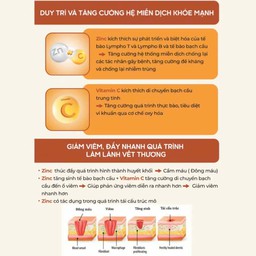 Siro Tăng Đề Kháng Zentokid Zinc Bổ Sung Kẽm và Vitamin C Tự Nhiên Cho Bé (Hộp 20 ống) - thumbnail 5