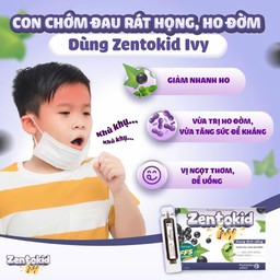 Siro Zentokid Ivy Giảm Ho Có Đờm, Khàn Tiếng Khi Cảm Lạnh Cho Bé Thành Phần Húng Chanh, Cao Lá Thường Xuân (Hộp 20 Ống) - thumbnail 8