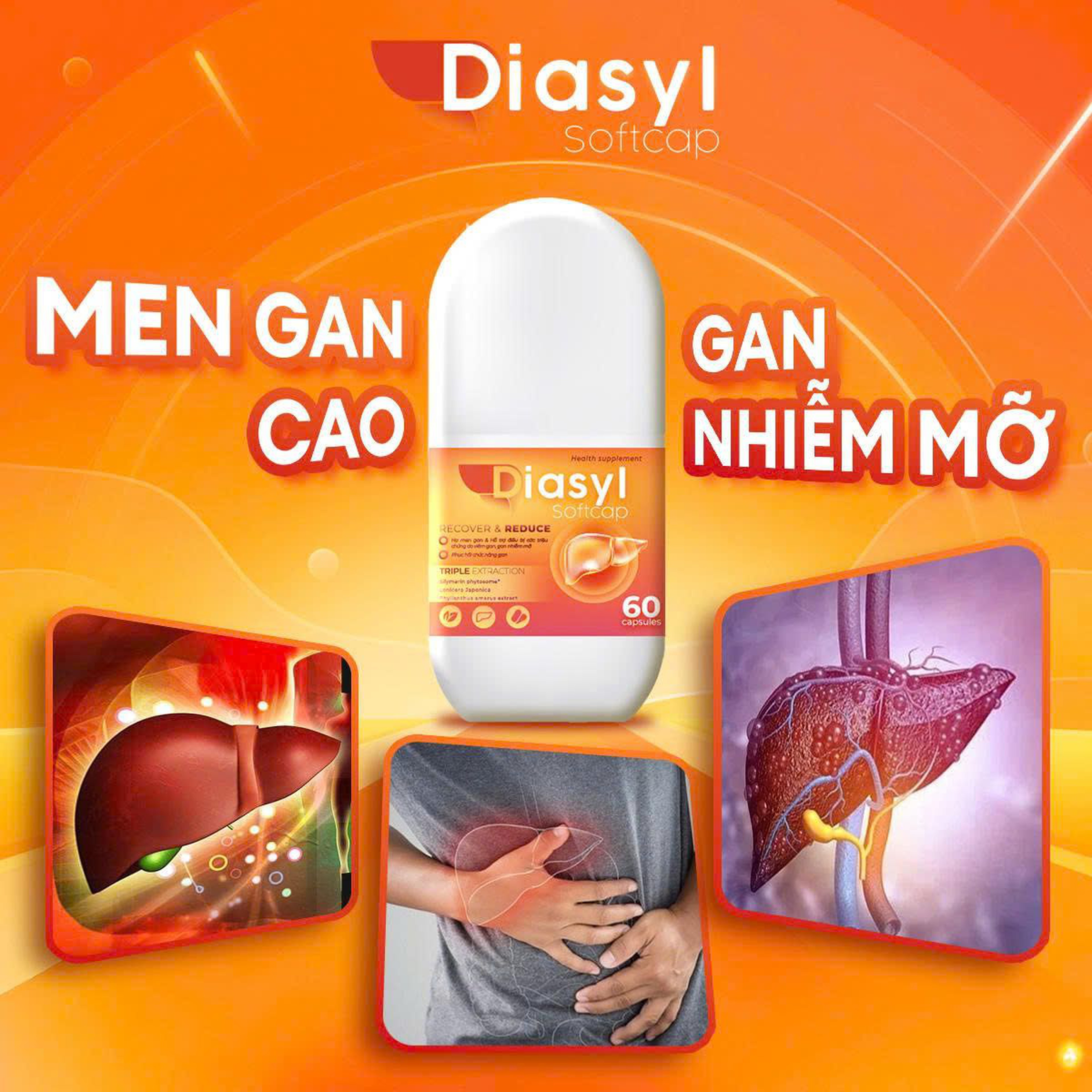 Viên Uống Diasyl Softcap Hạ Men Gan, Phục Hồi Chức Năng Gan (Lọ 30, 60 Viên)